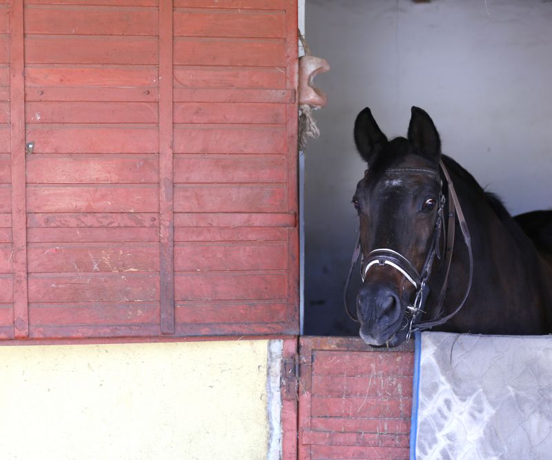 Barn Door Maintenance