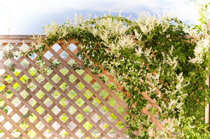 Vineyard Trellis Installation in Kansas City, KS