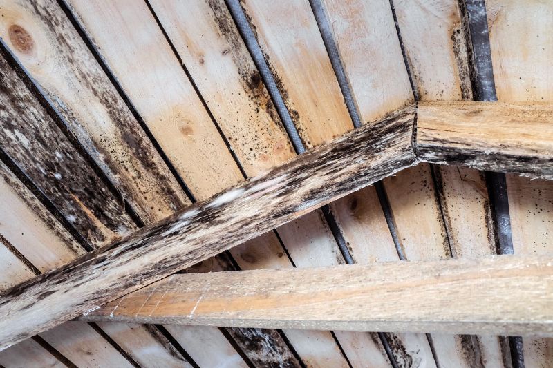 Wood Rot Repair Solutions For Outdoor Structures