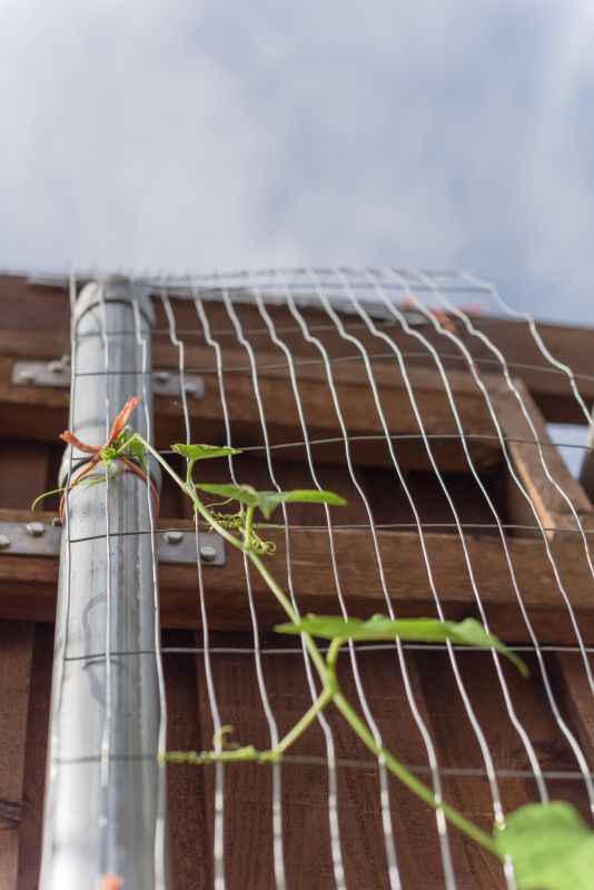 Wood Trellis Installation in Kansas City, KS